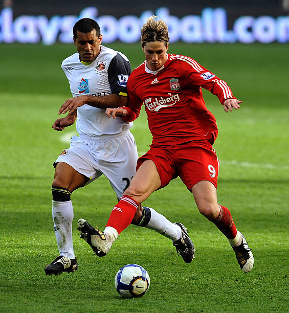 近年来他们 近年来他们