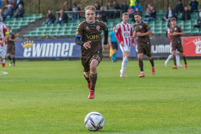 选择了一条 选择了一条